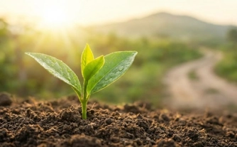 The Beginner’s Edge: Why You’re Ready to Start Now